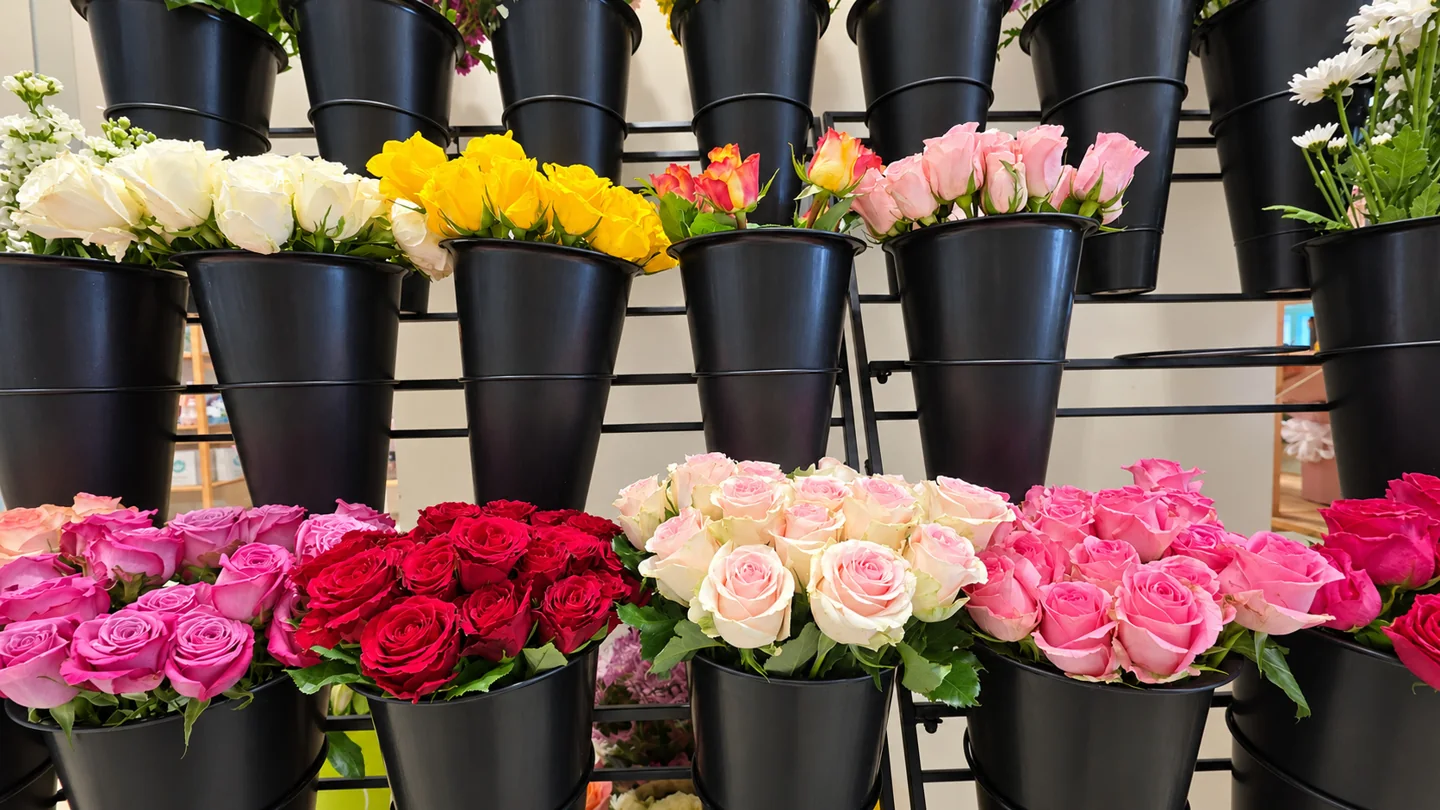 Kenaz Flower — Fresh flower selection